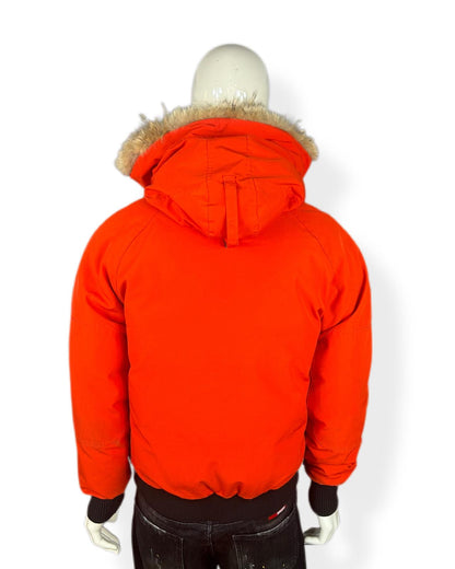 Canada goose chilliwack - small