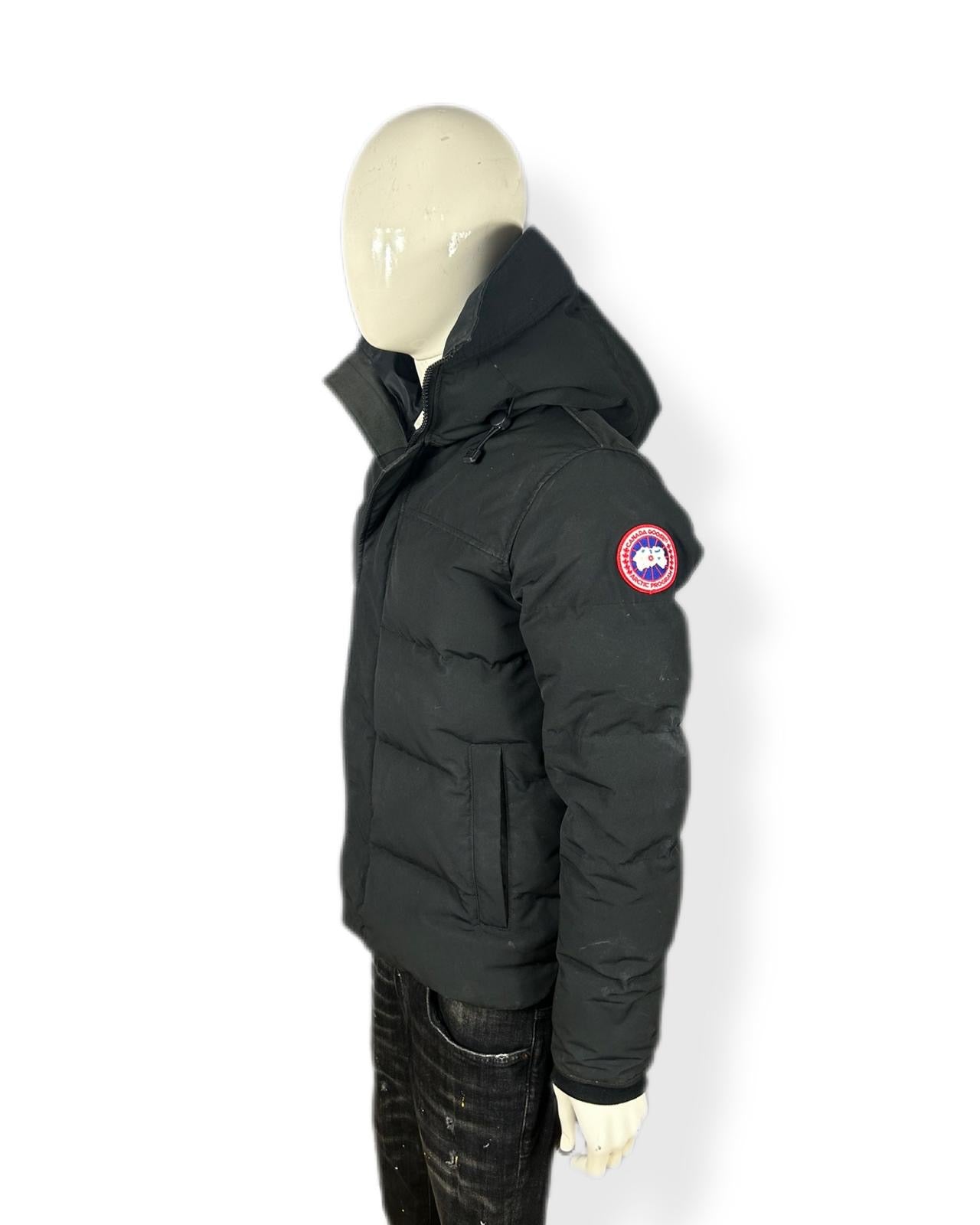 Canada goose Macmillan - medium