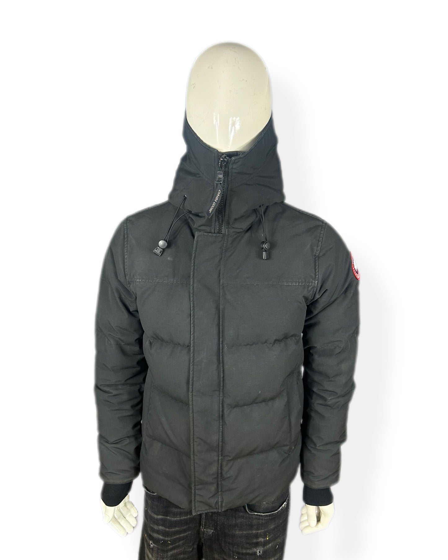 Canada goose Macmillan - medium