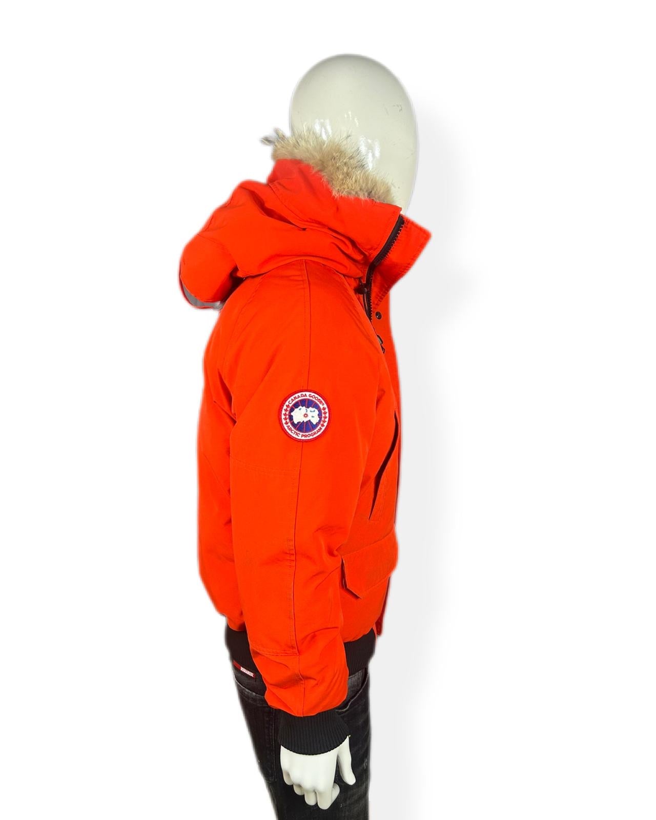 Canada goose chilliwack - small