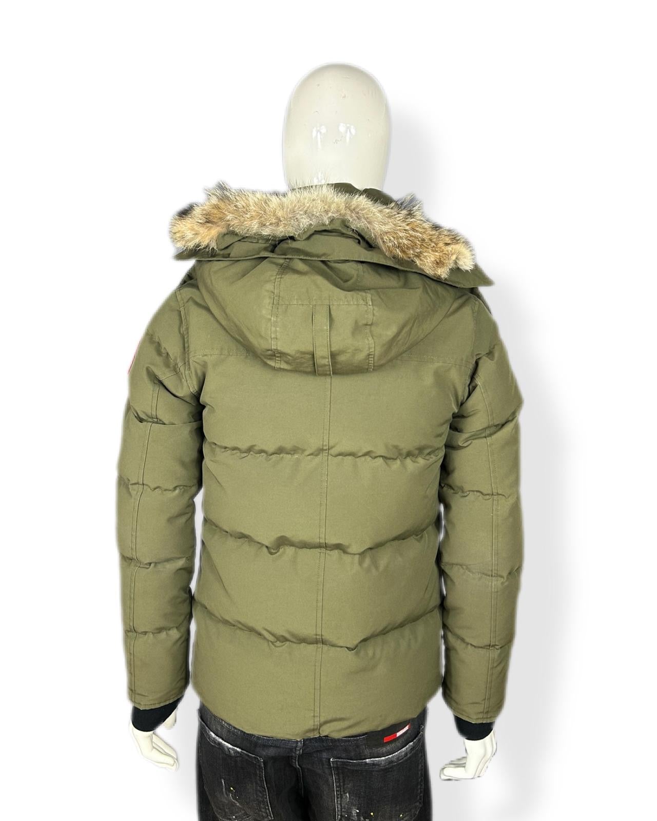 Canada goose Wyndham - small