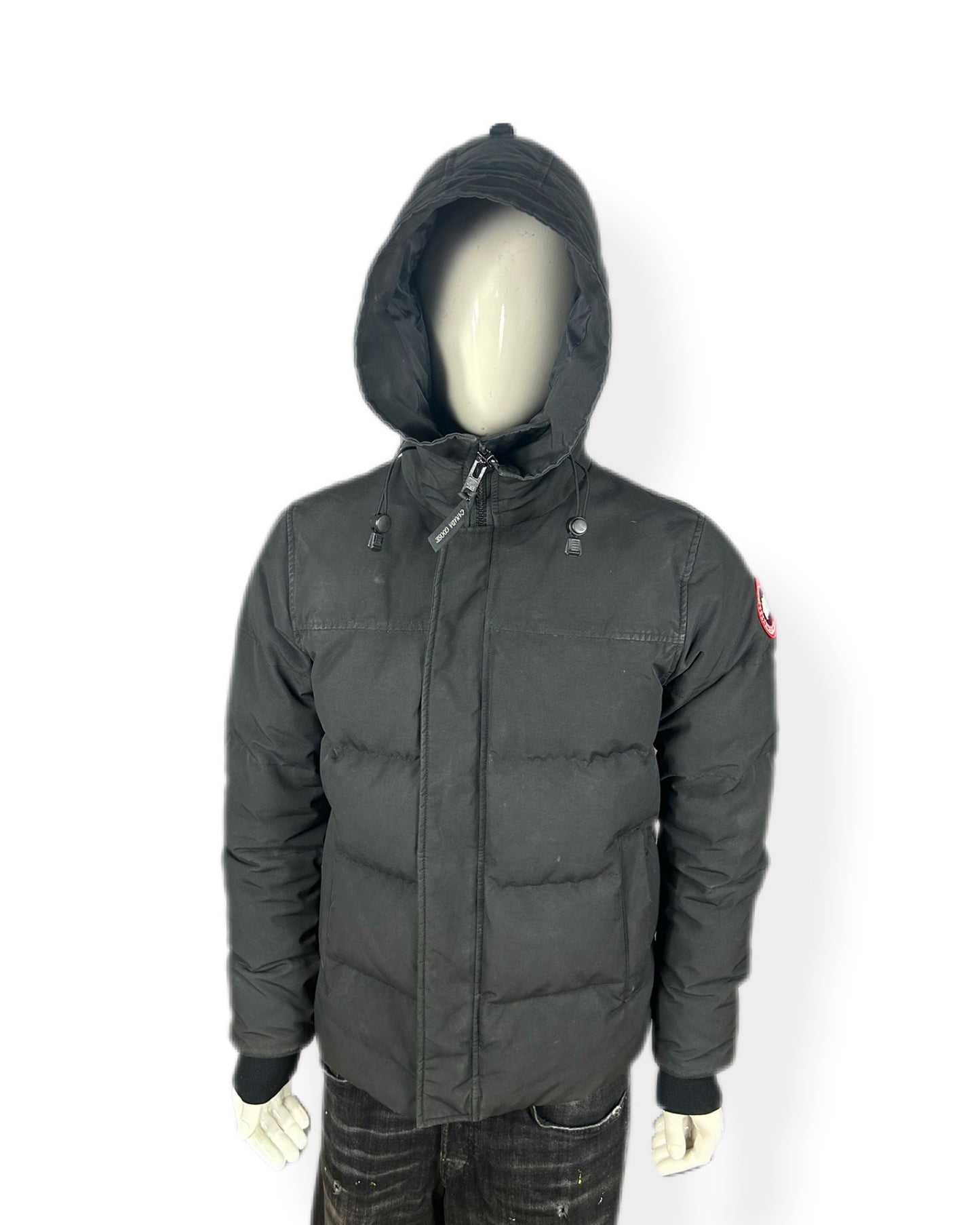 Canada goose Macmillan - medium