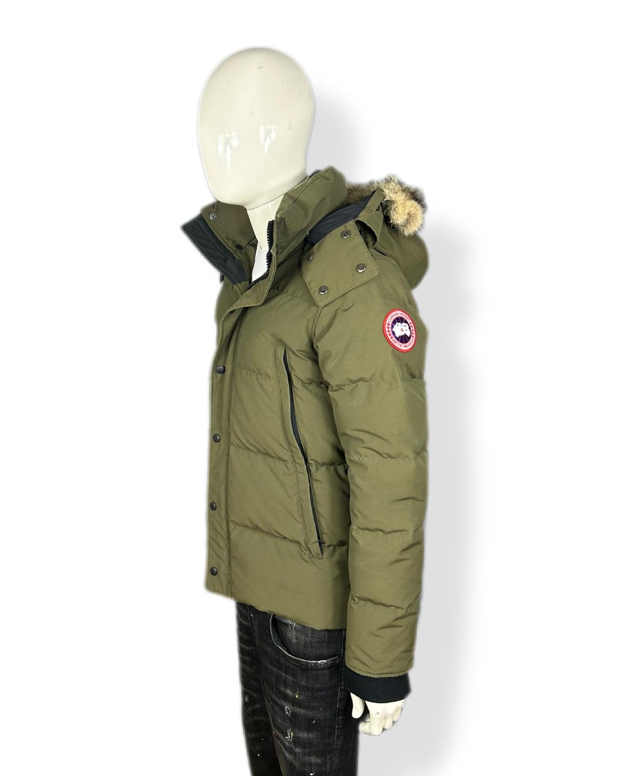 Canada goose Wyndham - small