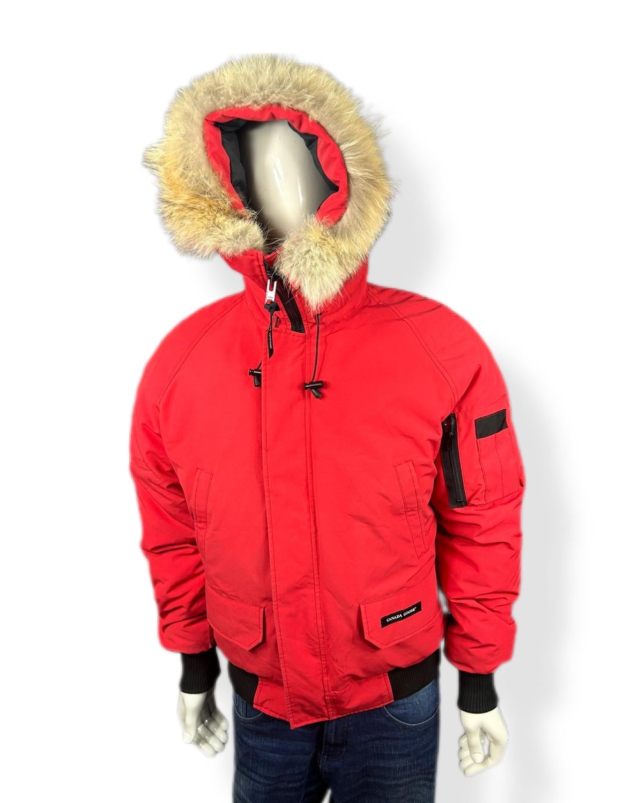 Canada Goose Chilliwack - Medium