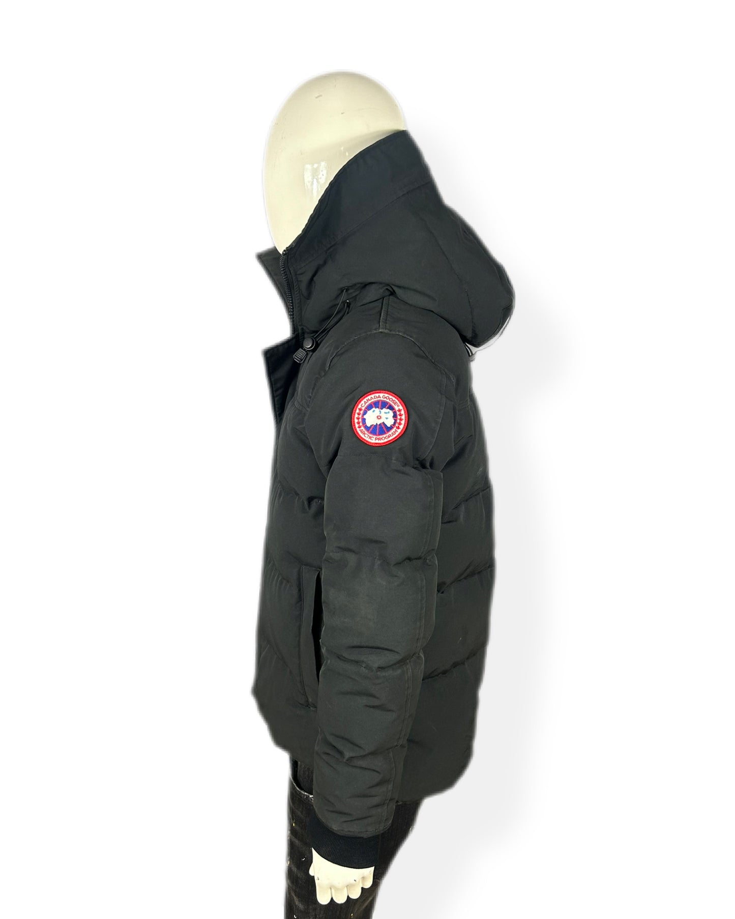 Canada goose Macmillan - medium