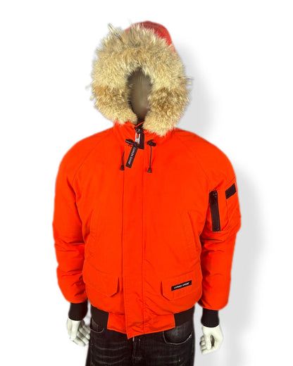 Canada goose chilliwack - small