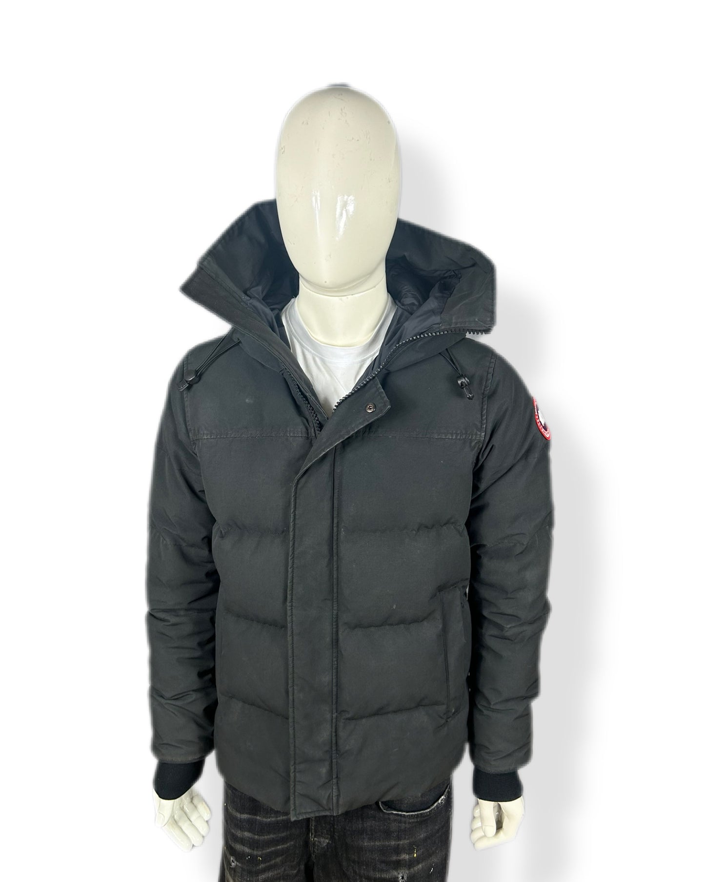 Canada goose Macmillan - medium