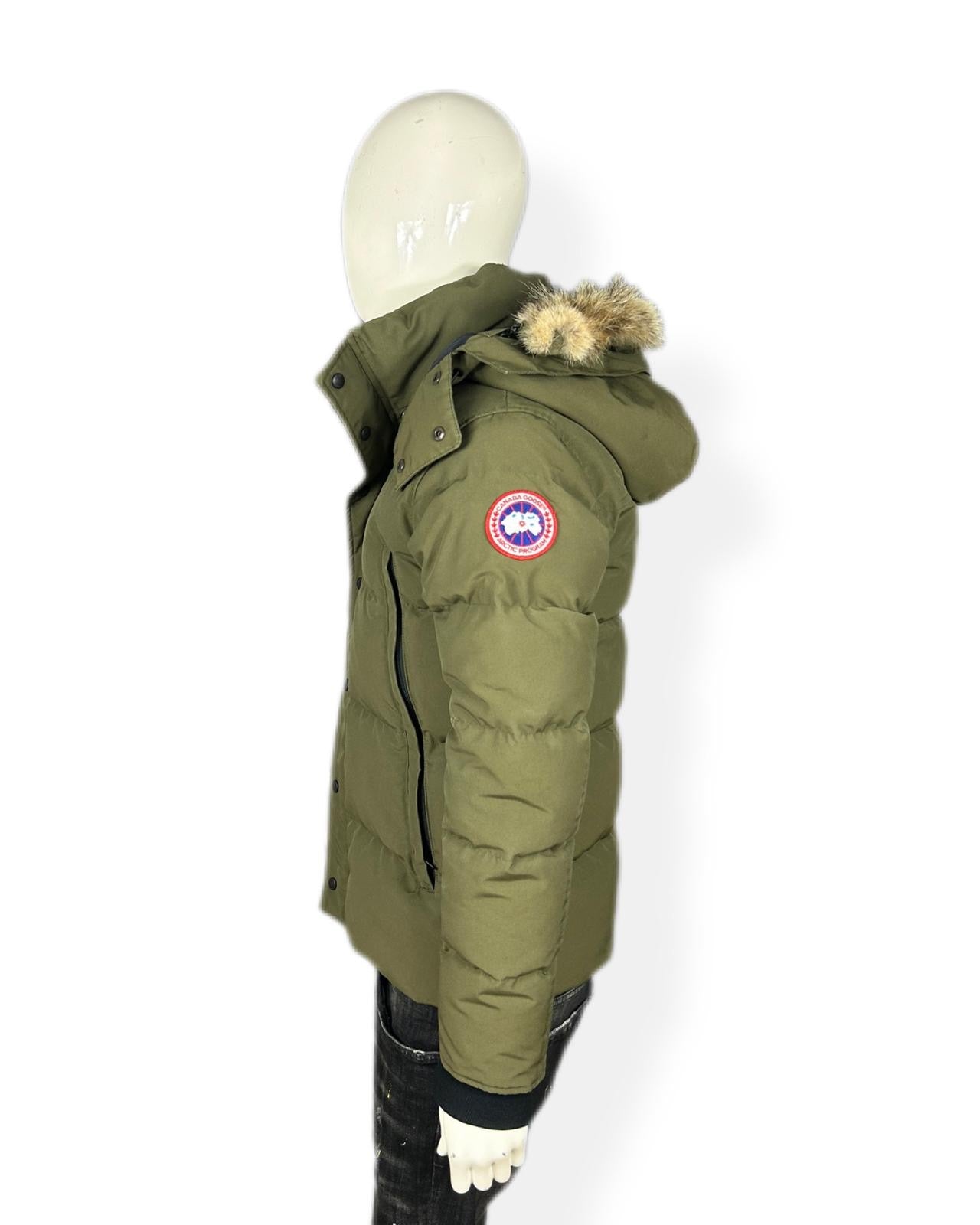 Canada goose Wyndham - small