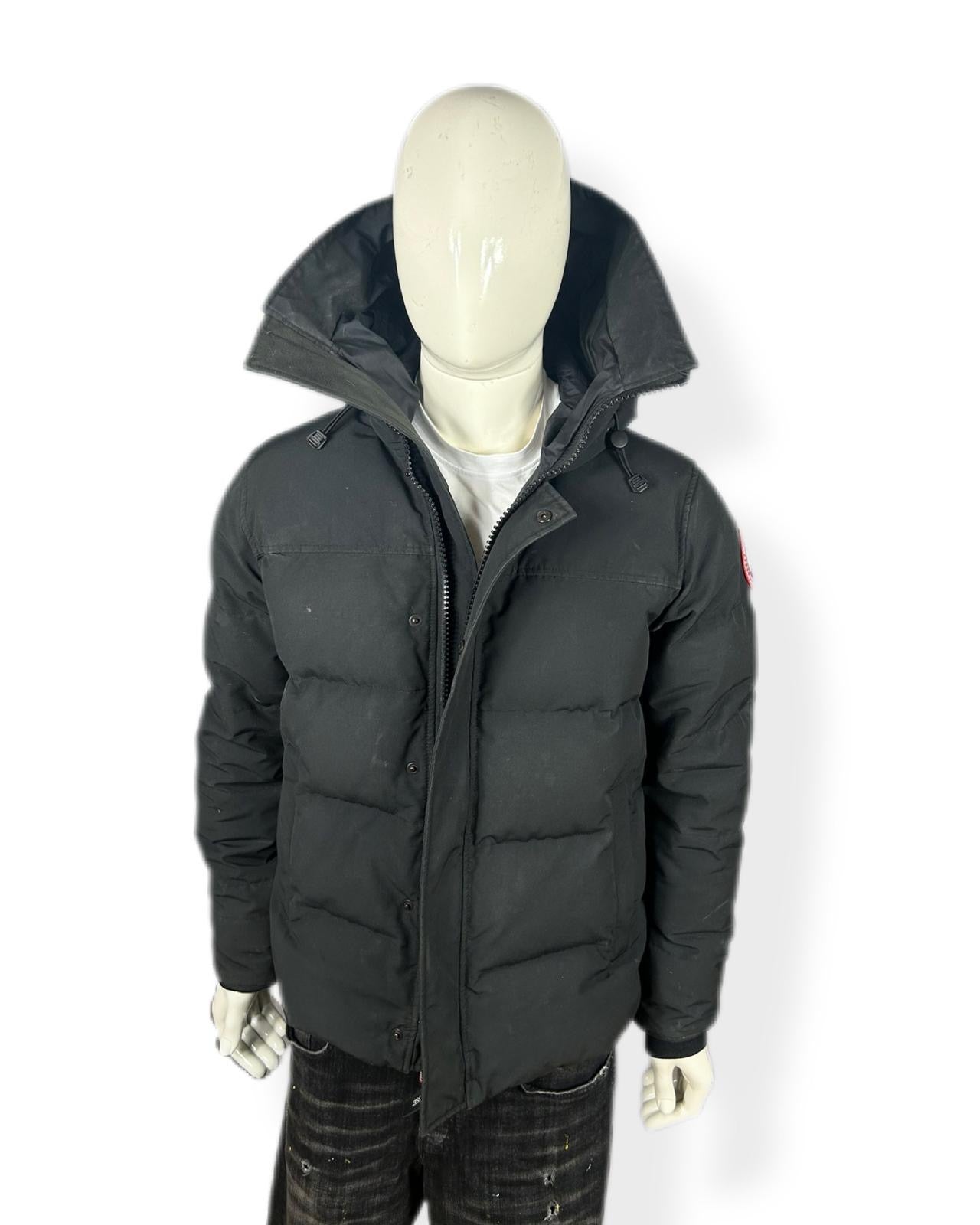 Canada goose Macmillan - medium