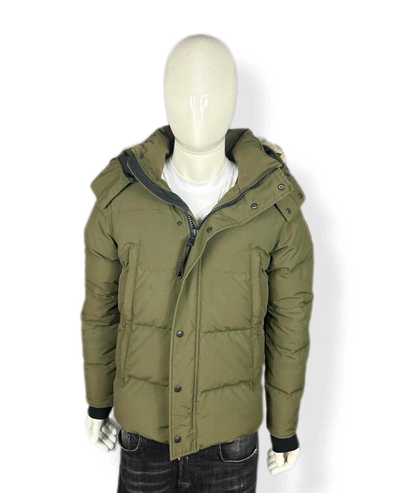 Canada goose Wyndham - small