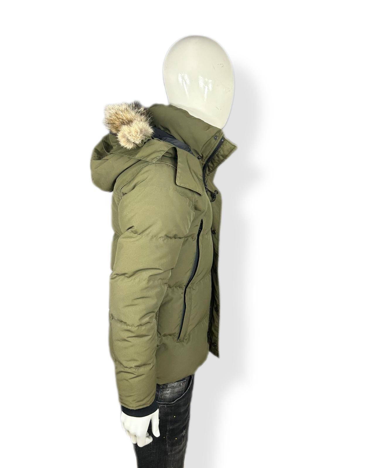 Canada goose Wyndham - small