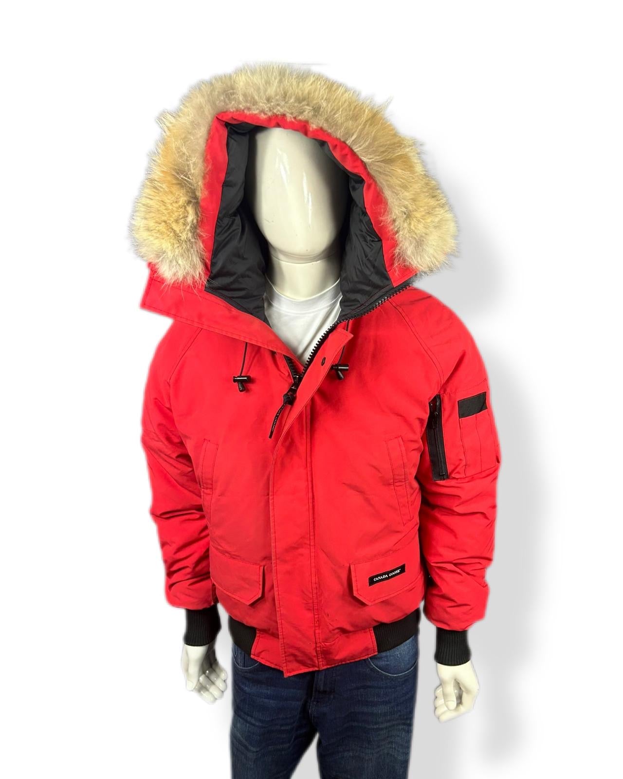 Canada Goose Chilliwack - Medium