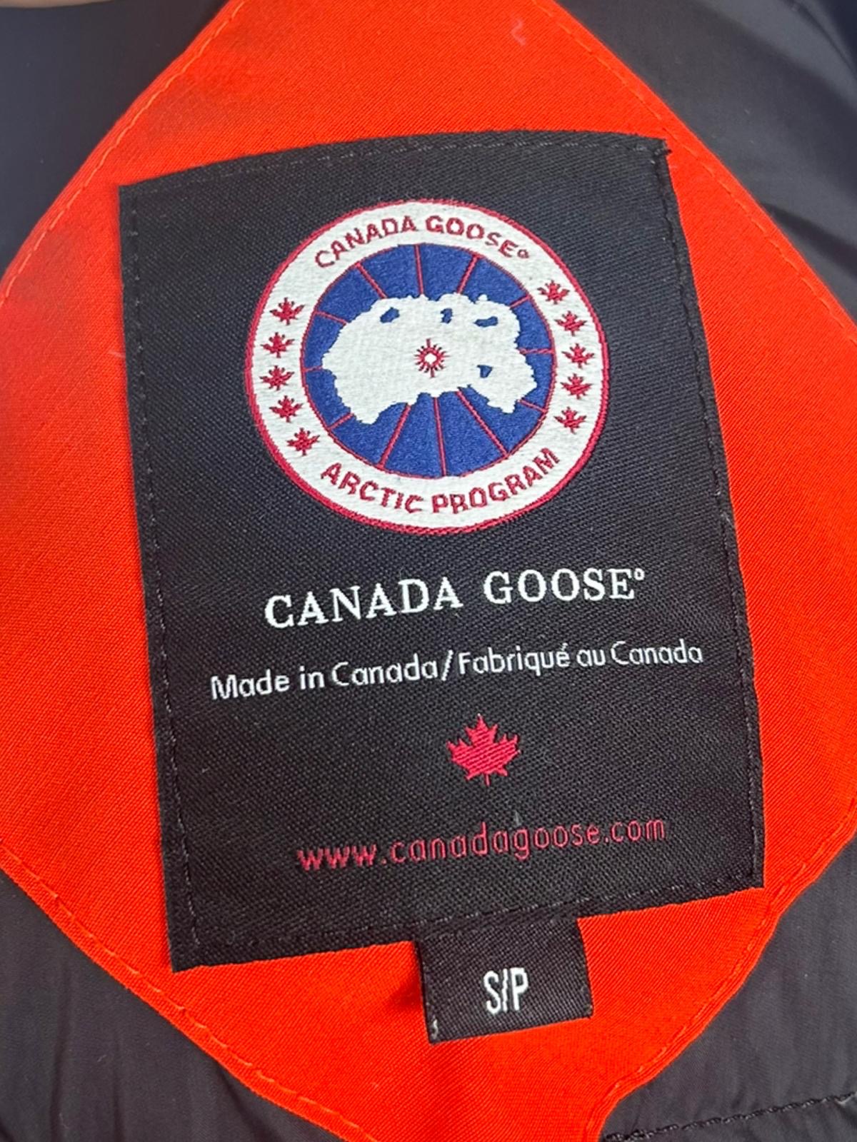 Canada goose chilliwack - small