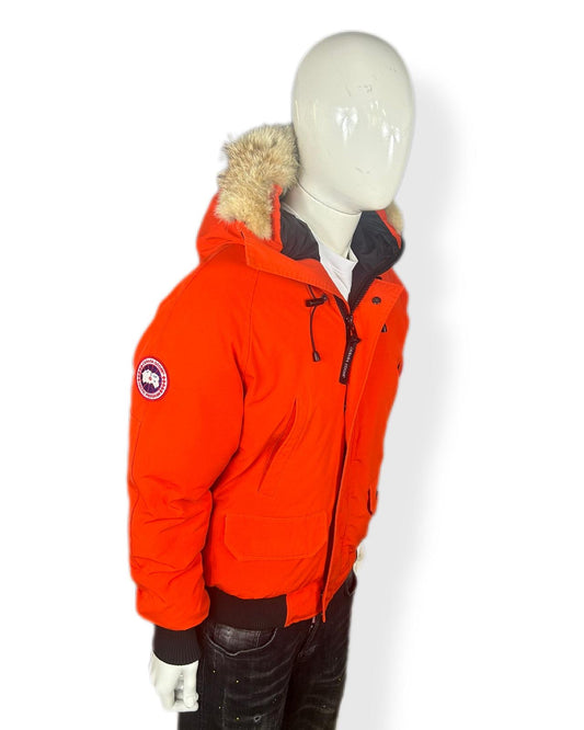 Canada goose chilliwack - small