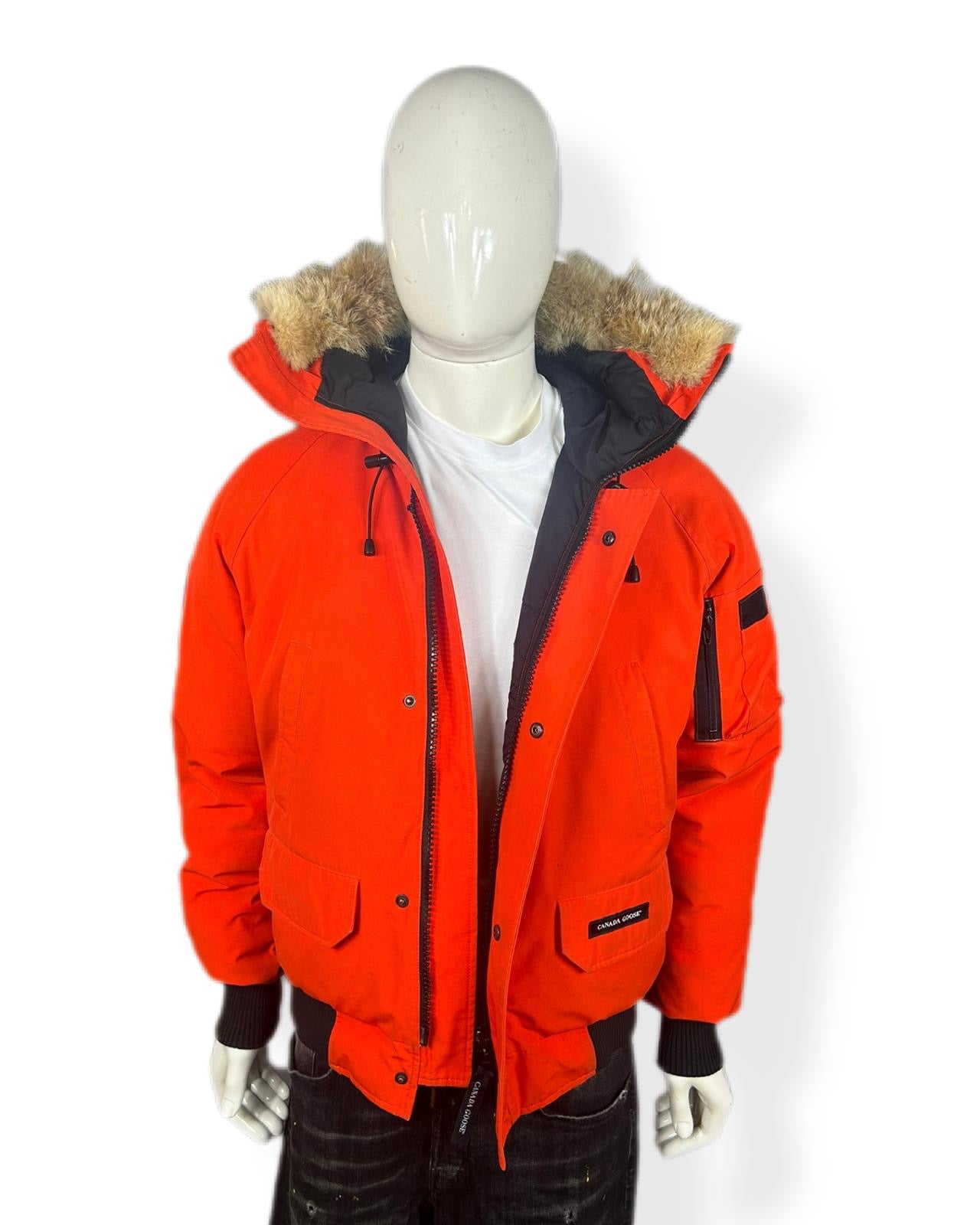 Canada goose chilliwack - small