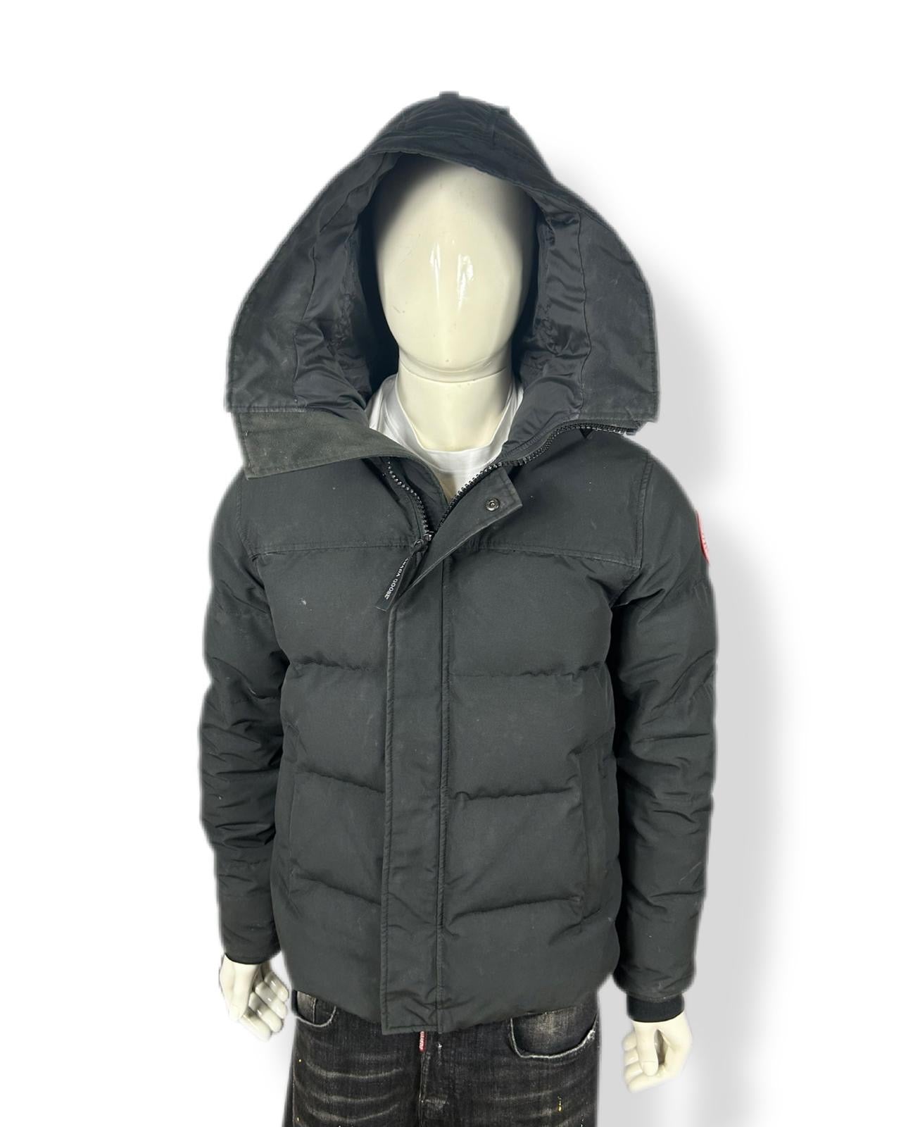 Canada goose Macmillan - medium