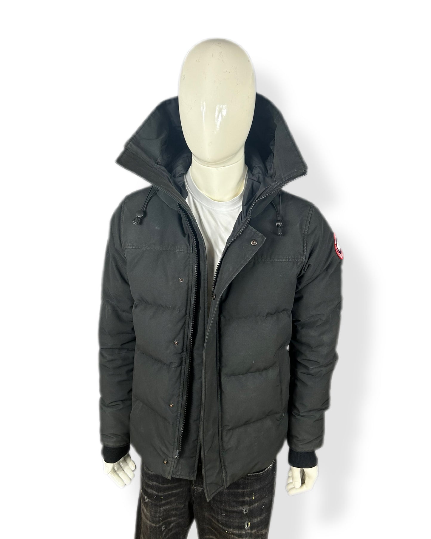 Canada goose Macmillan - medium