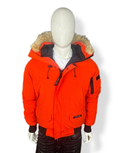 Canada goose chilliwack - small